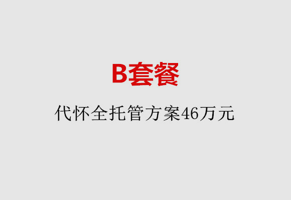 石家庄B套餐：代怀全托管方案46万元